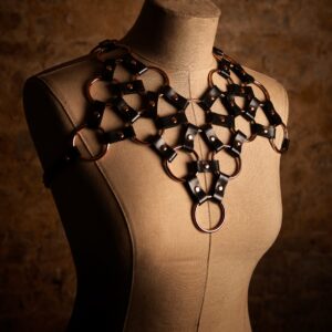 Plastron anneaux